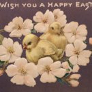 1908 Easter Postcard Baby Chick Embossed Posted Divided Prussia