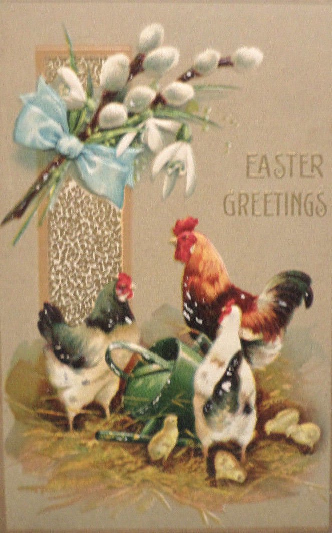 Antique Easter Postcard Roosters Hen Chicks Embossed Posted Divided