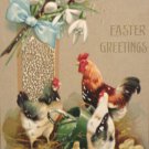 Antique Easter Postcard Roosters Hen Chicks Embossed Posted Divided
