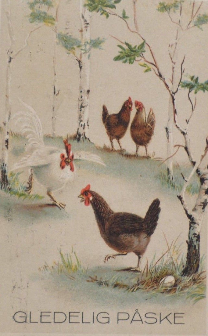 Antique Easter Postcard Hens Egg Embossed Posted Divided
