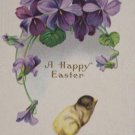 Antique Easter Postcard Baby Chick Egg Embossed Unposted Divided