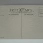Antique Easter Postcard Baby Chick Egg Embossed Unposted Divided
