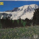 500 piece jig saw puzzle Rainier National Park by Rose Art 1993