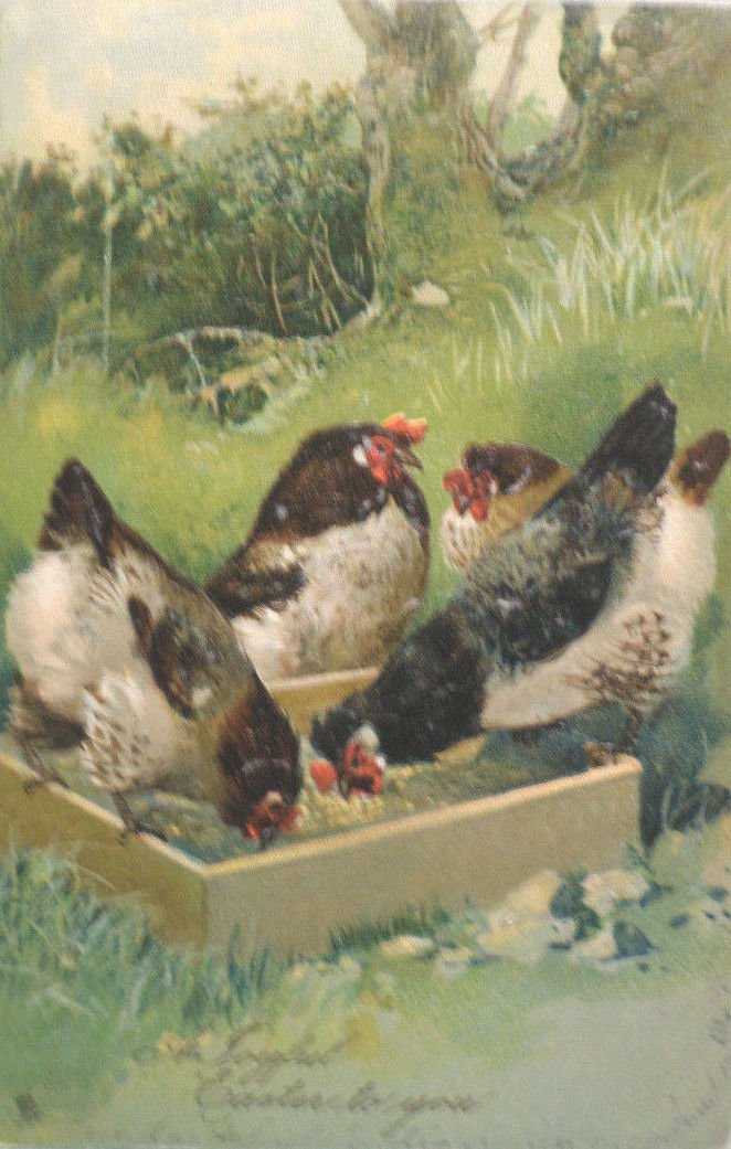 1906 Easter Postcard Hens Tuck & Sons Embossed Posted Divided