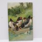 1906 Easter Postcard Hens Tuck & Sons Embossed Posted Divided
