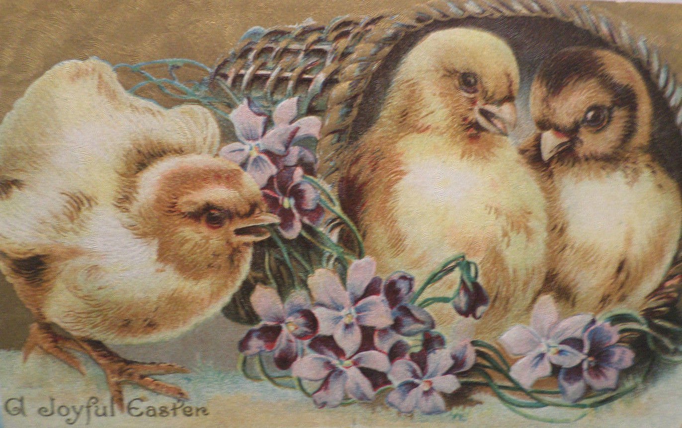 1919 Easter Postcard Chicks Basket Embossed Posted Divided
