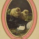 Easter Postcard Baby Chicks Germany Glossy Embossed Unposted Divided