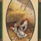 1911 Easter Postcard Rooster Hens Glossy Embossed Posted Divided