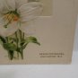 Antique 1912 Easter Postcard John Winsch Germany Embossed Unposted Divided