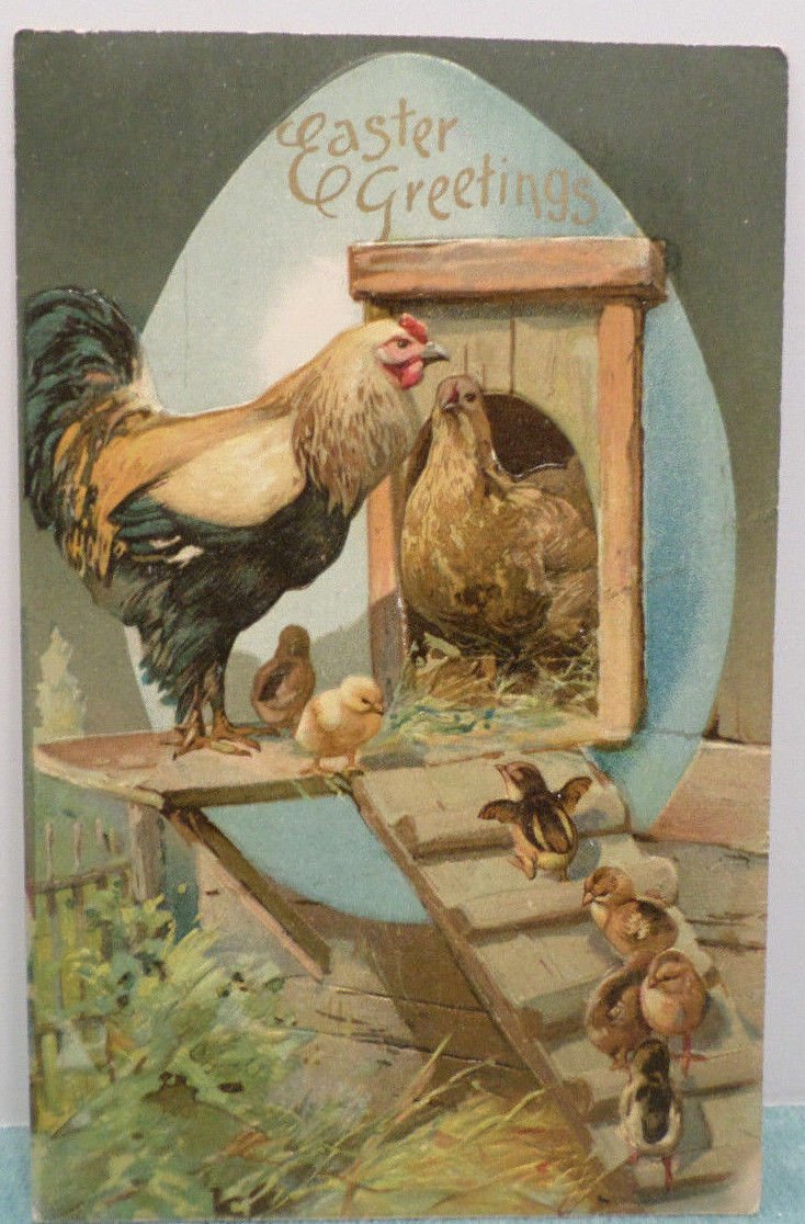 Antique Easter Postcard Rooster Hen Chicks Embossed Posted Undivided