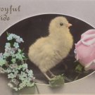 Antique Easter Postcard Baby Chick Pink Rose Embossed Divided Glossy