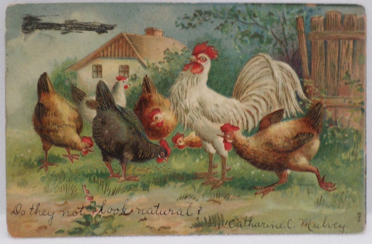 Antique Easter Postcard Rooster and Hens Embossed Divided Posted