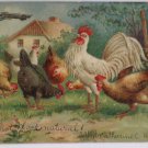 Antique Easter Postcard Rooster and Hens Embossed Divided Posted