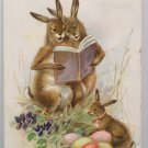 1907 Easter Postcard Humanized Rabbits Colored Eggs Tuck and Sons Embossed