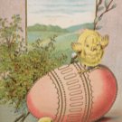 Antique Easter Postcard Baby Chicks Egg Embossed Unposted Divided