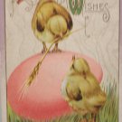 Antique Easter Postcard Baby Chicks Egg Unposted Divided