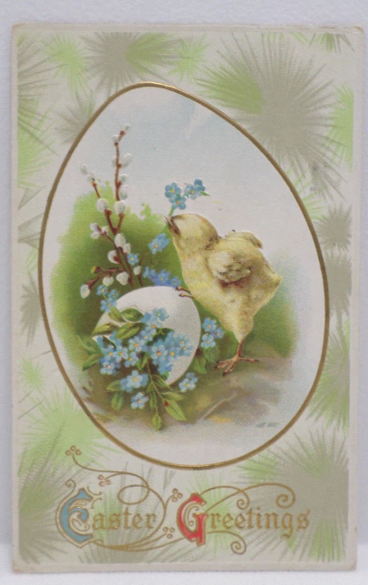 Antique Easter Postcard Chick Egg Embossed Posted Divided