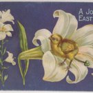 Easter Postcard Baby Chick Lily Floral Design Embossed Posted Divided