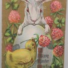 Antique Easter Postcard Rabbit Chick Egg Embossed Unposted Divided
