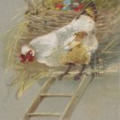 Antique Easter Postcard Hen Walking Down Ladder Colored Eggs in Nest Posted