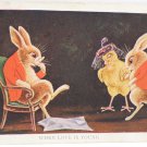 Antique Easter Postcard Humanized Rabbits and Baby Chick Unposted Divided