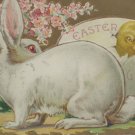 Antique Easter Postcard Rabbit Chick and Egg Embossed Posted Divided