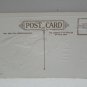 Antique Easter Postcard Rabbit Lillies Embossed Unposted Divided