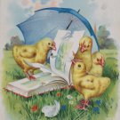 Antique Easter Postcard Baby Chicks Reading a Book Embossed Posted Undivided