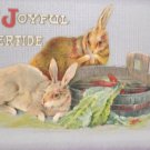 Antique Easter Postcard Rabbits John Winsch Germany Unposted Embossed