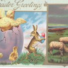 Easter Postcard Humanized Rabbit Running Away with Easter Eggs and Chicks