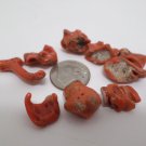 Natural Orange Coral Rough Cut 49.9 ct