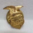 Collector Lapel Pin Fraternal Order of Eagles