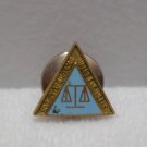 Vintage Lapel Pin Society of American Value Engineers