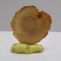 Lapidary Display Specimen Rock Stone