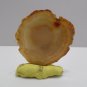 Lapidary Display Specimen Rock Stone