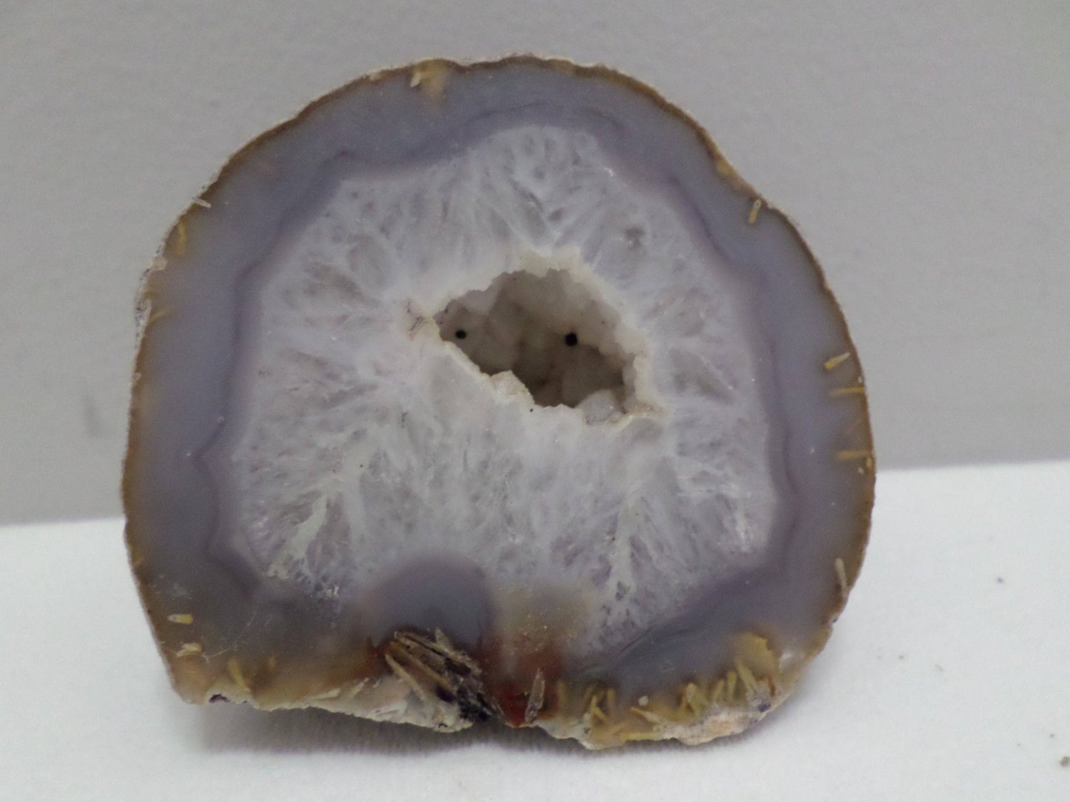 Geode Slice Lapidary Display Specimen