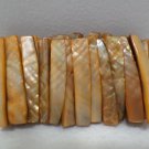 Womens Bracelet Abalone Shell Elastic
