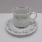 Cup and Saucer in Forever Spring Pattern Johann Haviland Bavaria Germany