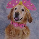 Halloween Costume Pet Dog Cute Lil Butterfly size Small by Incognito