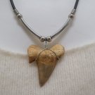 Necklace Shark Tooth