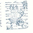 The Angel Company Stamp Sets Bundle of 8 Sets