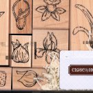 Close to my Heart Bulbs in Bloom Line Art Flower 8 Piece Rubber Stamp Set
