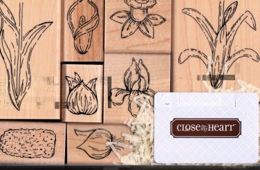 Close to my Heart Bulbs in Bloom Line Art Flower 8 Piece Rubber Stamp Set