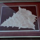 Vintage 1982 David Allgood Embossed Serigraph "Conch" Art Signed COA Framed