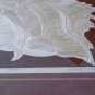 Vintage 1982 David Allgood Embossed Serigraph "Conch" Art Signed COA Framed