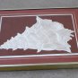 Vintage 1982 David Allgood Embossed Serigraph "Conch" Art Signed COA Framed