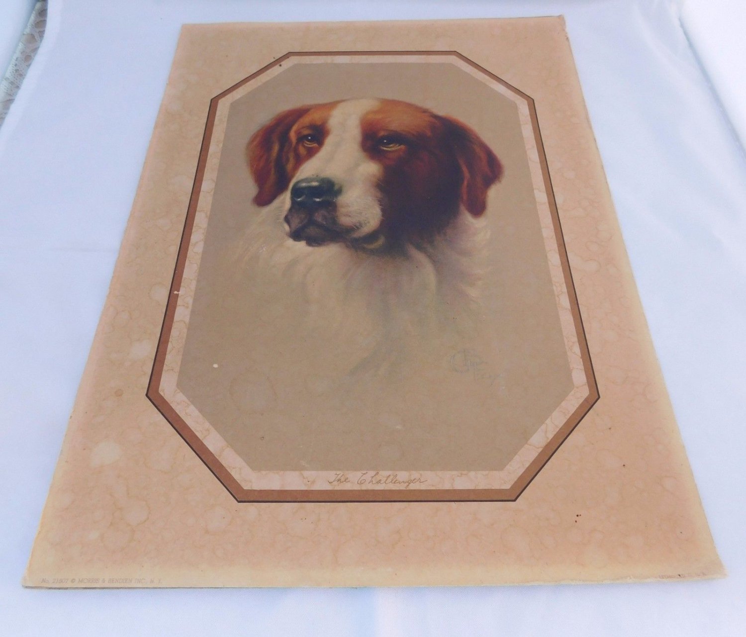 Antique 1920s Morris Bendien White Red Irish Setter Dog Convex Lithograph Litho