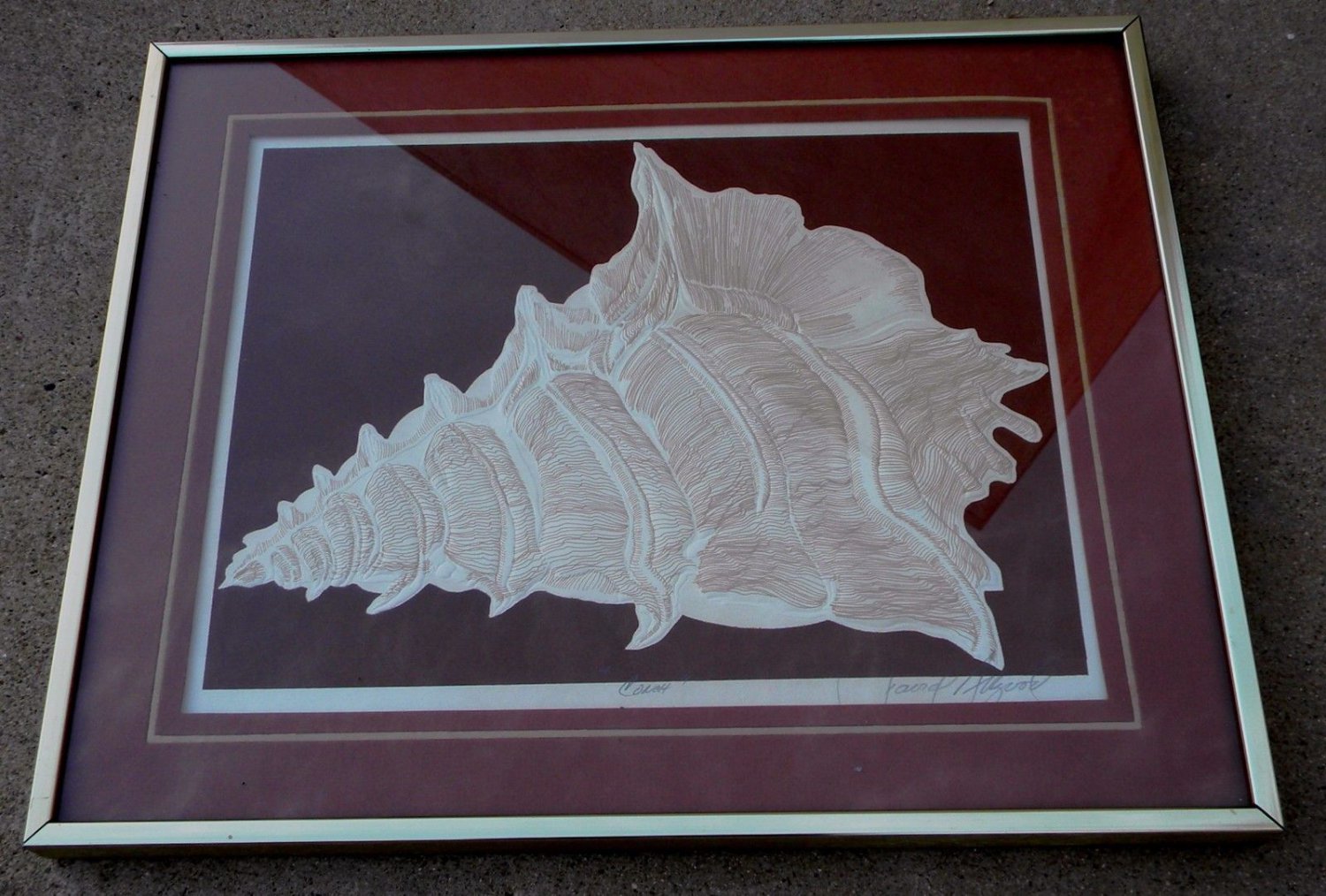 Vintage David Allgood Embossed Serigraph "Conch" Art Signed COA Framed 1982