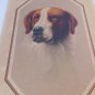 Antique Morris Bendien White Red Irish Setter Dog Convex Lithograph Litho 1920s
