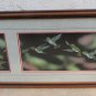 Sharon Wald Original Scratchboard ART Print Signed Hummingbird Vintage